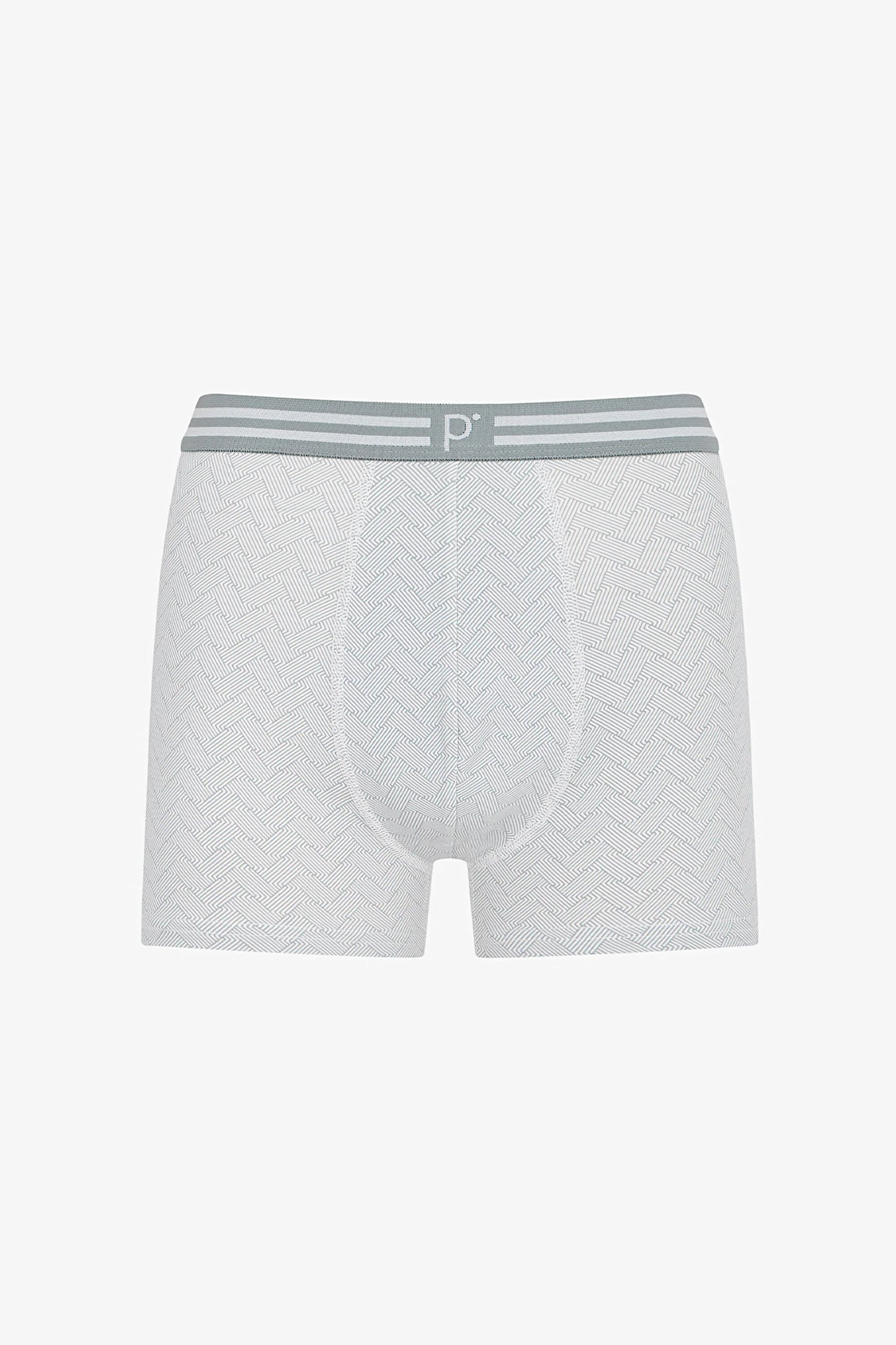 Erkek Renkli Misty Tones Çoklu Boxer