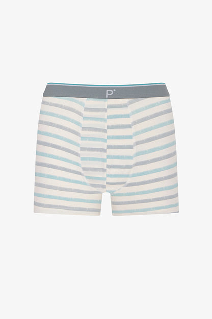 Erkek Renkli Soft Grid Çoklu Boxer