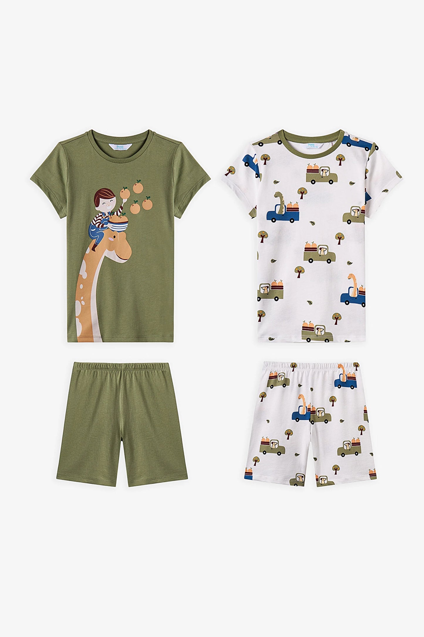 Haki Erkek Çocuk Dino In The Field Pamuklu 2'li Pijama Takımı