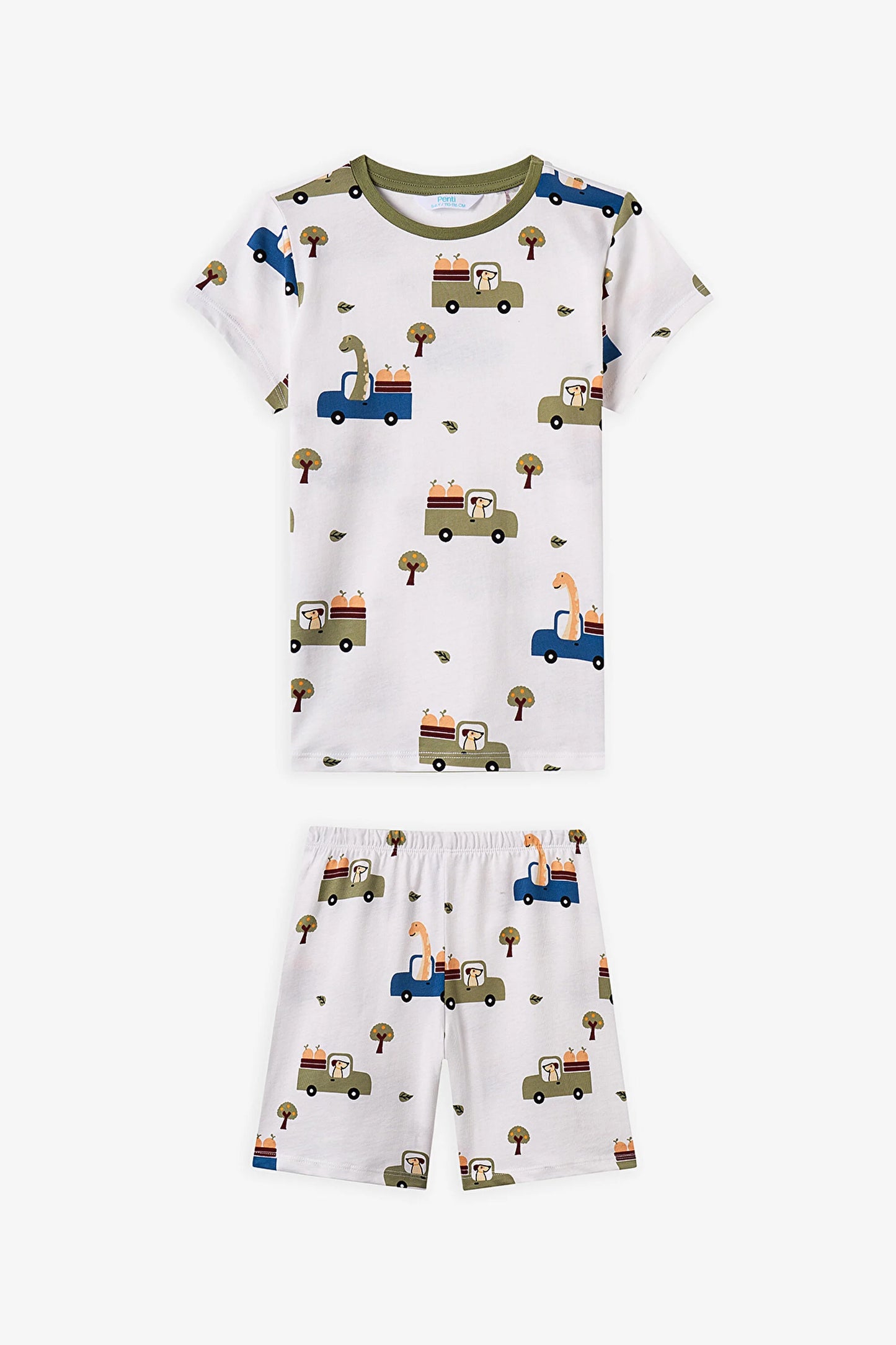 Haki Erkek Çocuk Dino In The Field Pamuklu 2'li Pijama Takımı