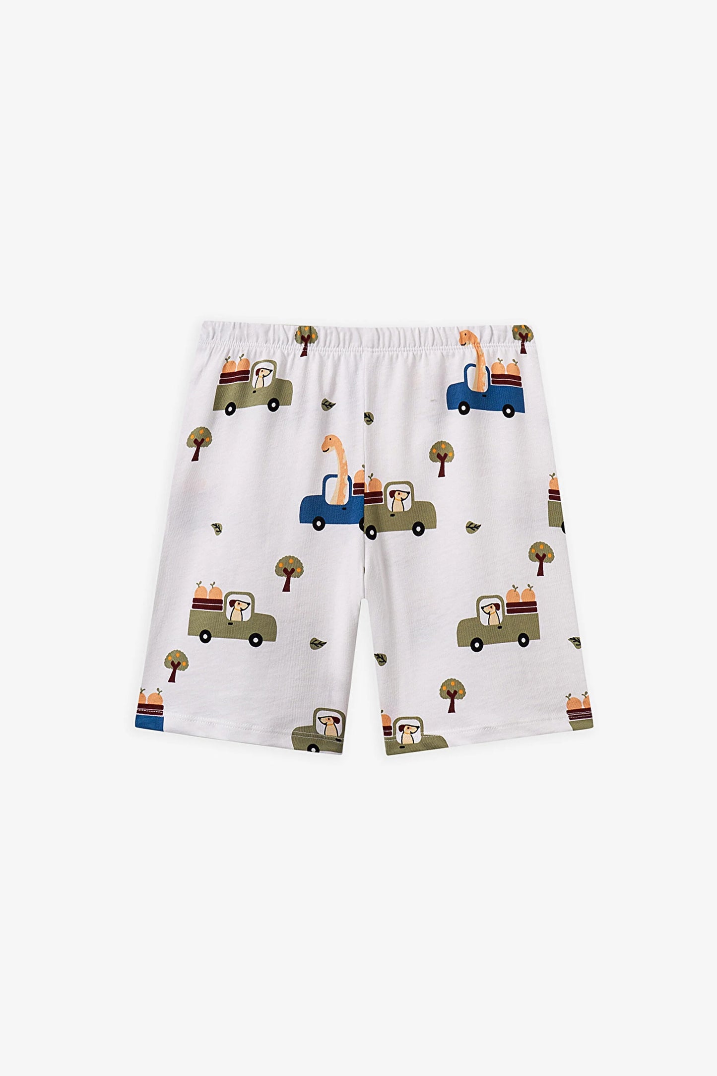 Haki Erkek Çocuk Dino In The Field Pamuklu 2'li Pijama Takımı