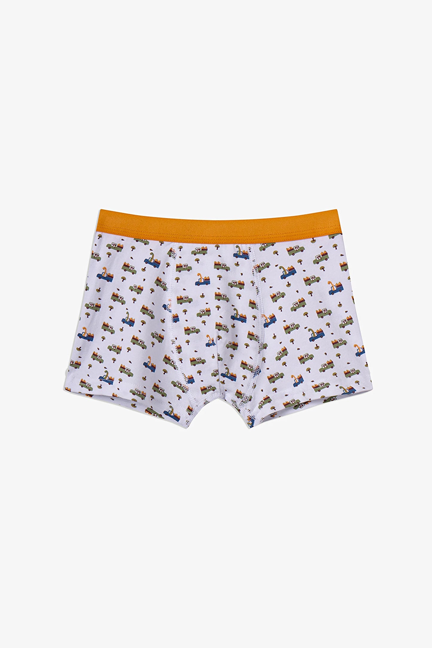 Haki Erkek Çocuk Dino In The Field 3'lü Boxer