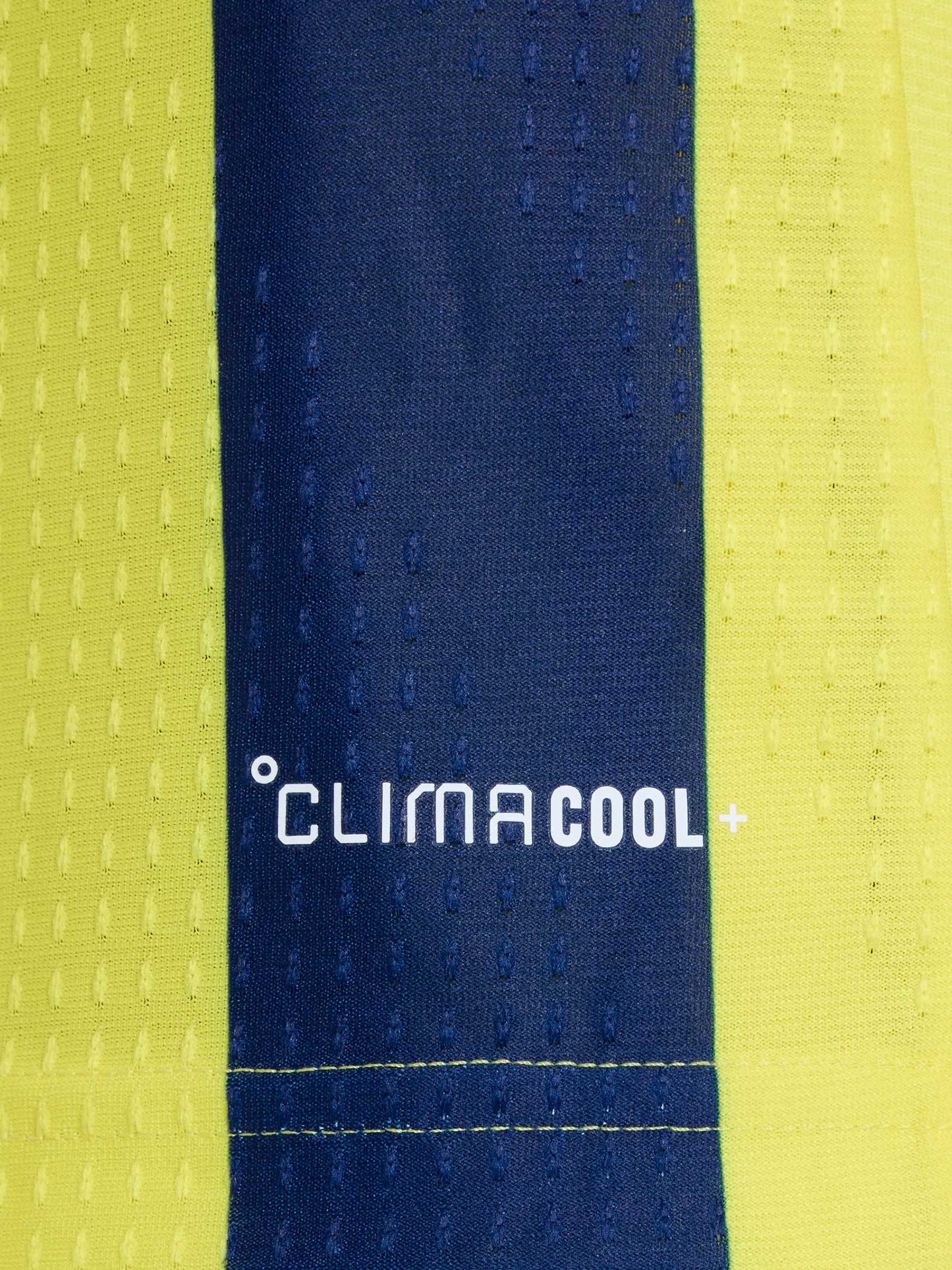 Fenerbahçe 2026/27 Çubuklu Promo Forma