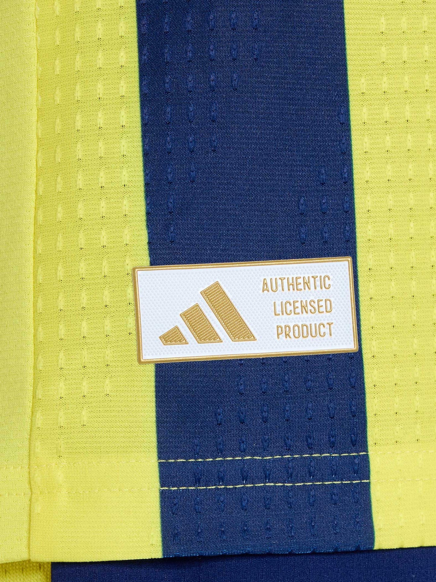 Fenerbahçe 2026/27 Çubuklu Promo Forma