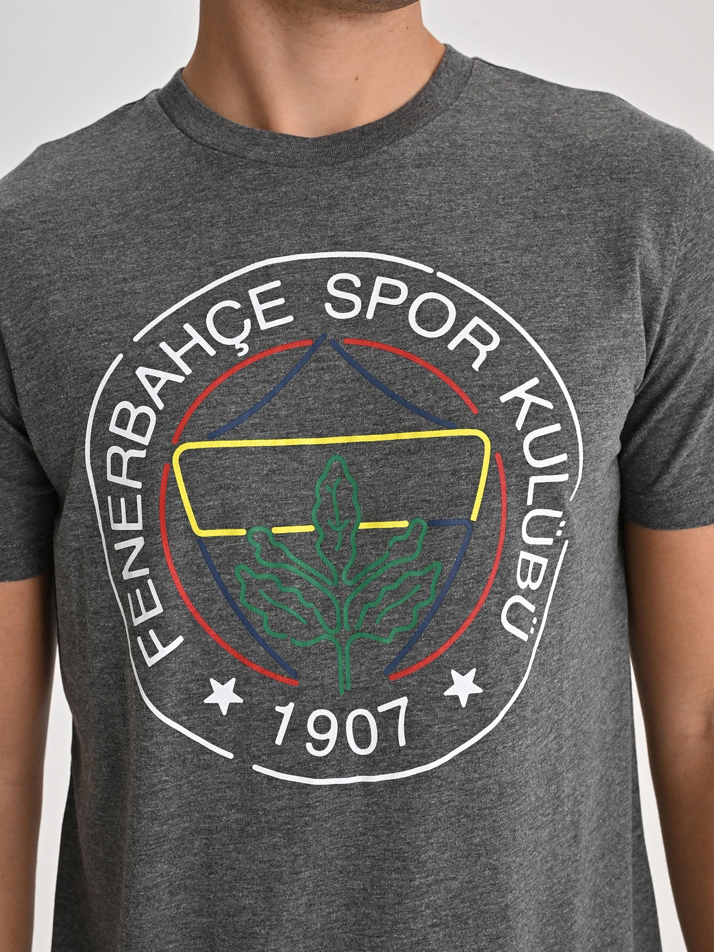 Fenerbahçe Gri Tribün Çizgi Logolu Erkek Tshirt
