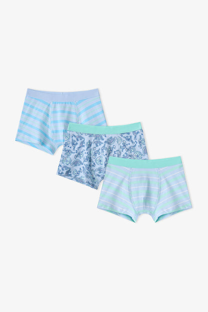 Erkek Çocuk Mavi Dino Bones Çizgili Pamuklu 3'lü Boxer