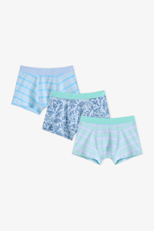 Erkek Çocuk Mavi Dino Bones Çizgili Pamuklu 3'lü Boxer