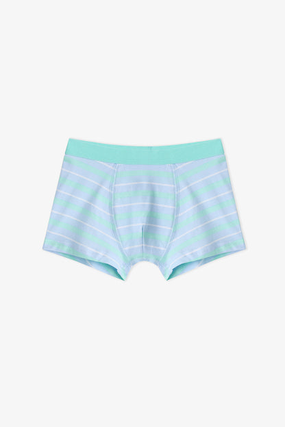 Erkek Çocuk Mavi Dino Bones Çizgili Pamuklu 3'lü Boxer