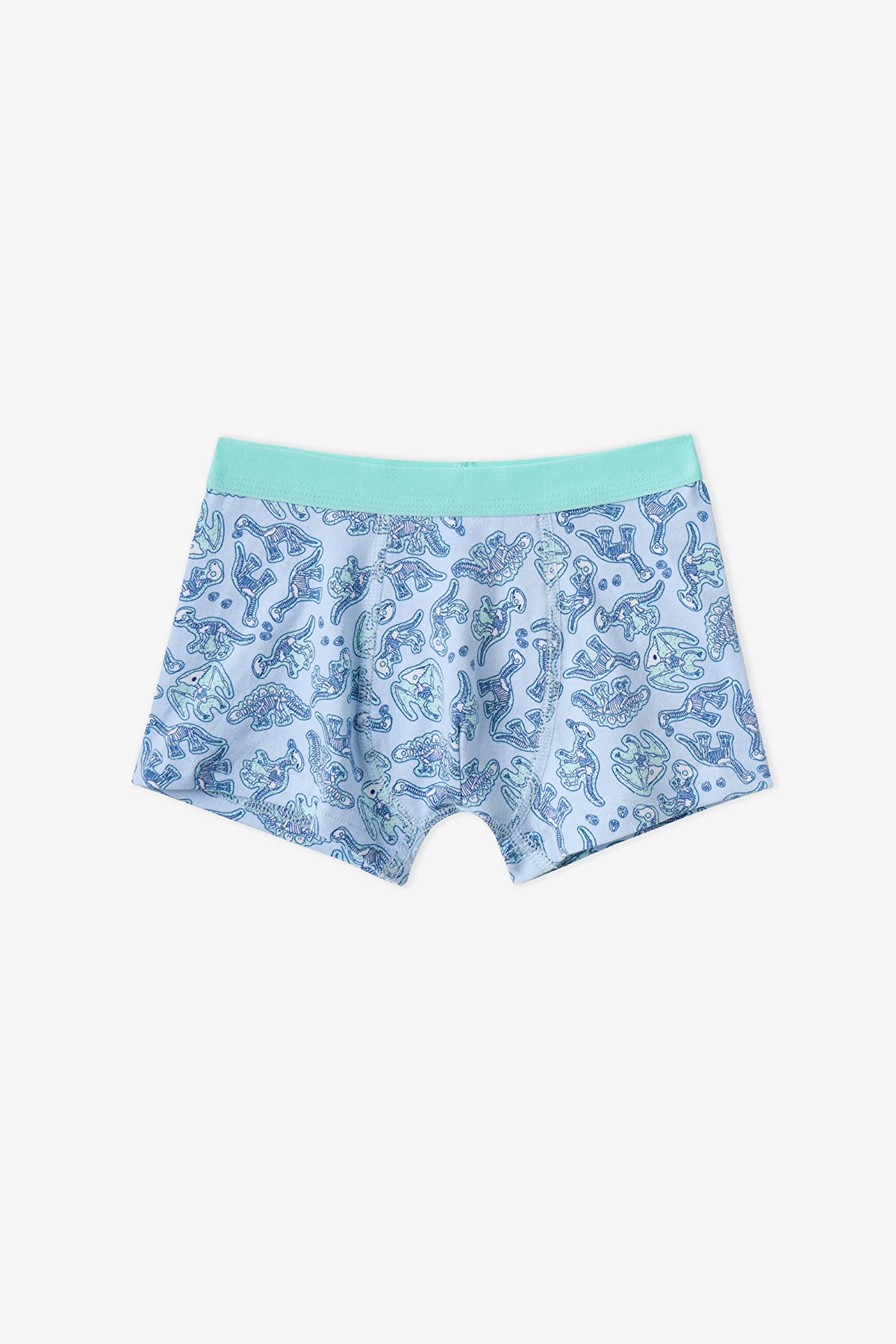 Erkek Çocuk Mavi Dino Bones Çizgili Pamuklu 3'lü Boxer