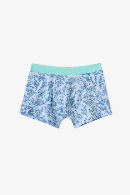 Erkek Çocuk Mavi Dino Bones Çizgili Pamuklu 3'lü Boxer
