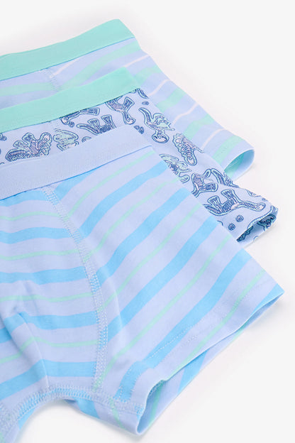 Erkek Çocuk Mavi Dino Bones Çizgili Pamuklu 3'lü Boxer