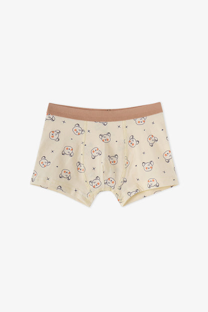 Erkek Çocuk Mavi Cute Animals Pamuklu 3'lü Boxer