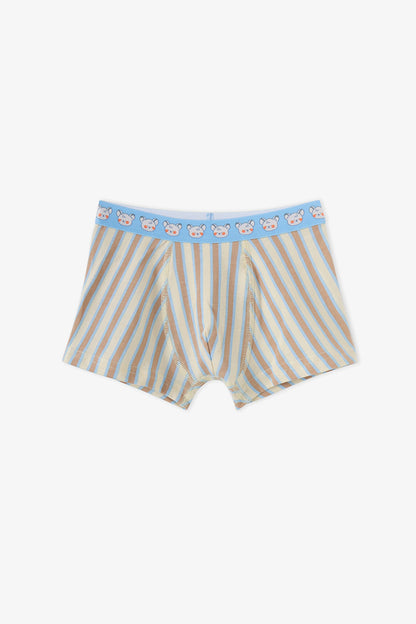 Erkek Çocuk Mavi Cute Animals Pamuklu 3'lü Boxer