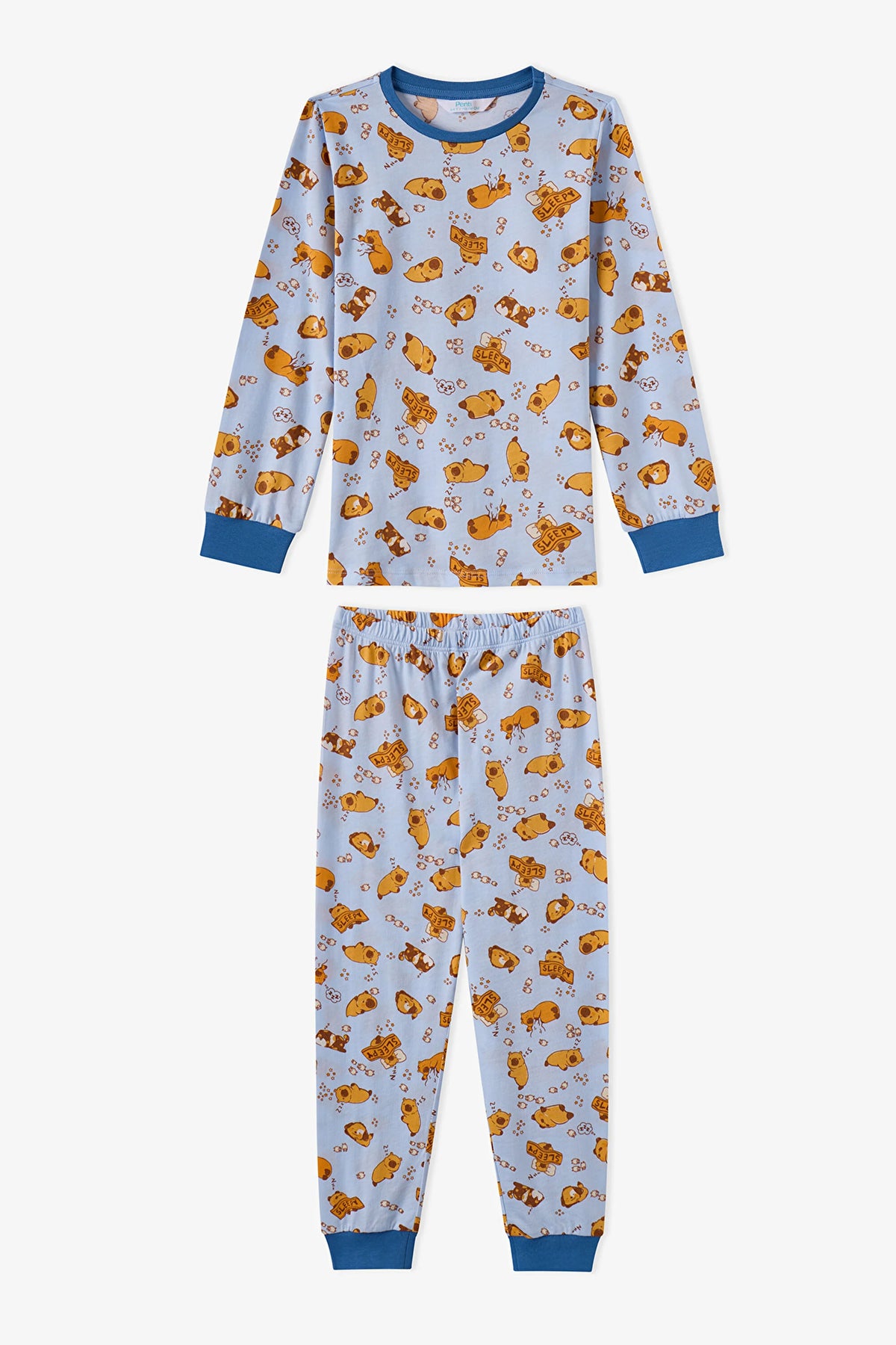 Erkek Çocuk Mavi Sleepy Club Pamuklu Uzun Kollu 2'li Pijama Takımı