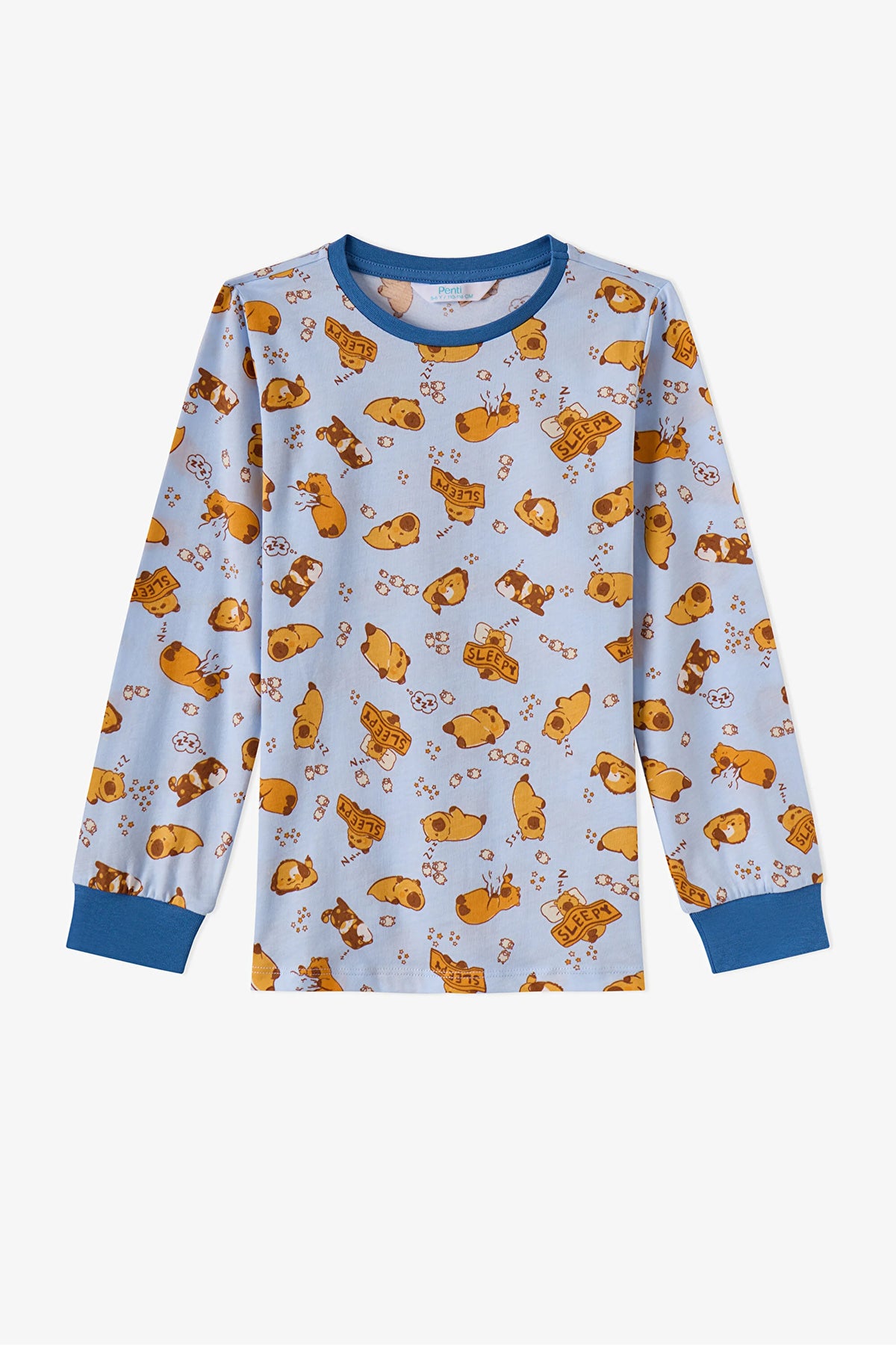 Erkek Çocuk Mavi Sleepy Club Pamuklu Uzun Kollu 2'li Pijama Takımı