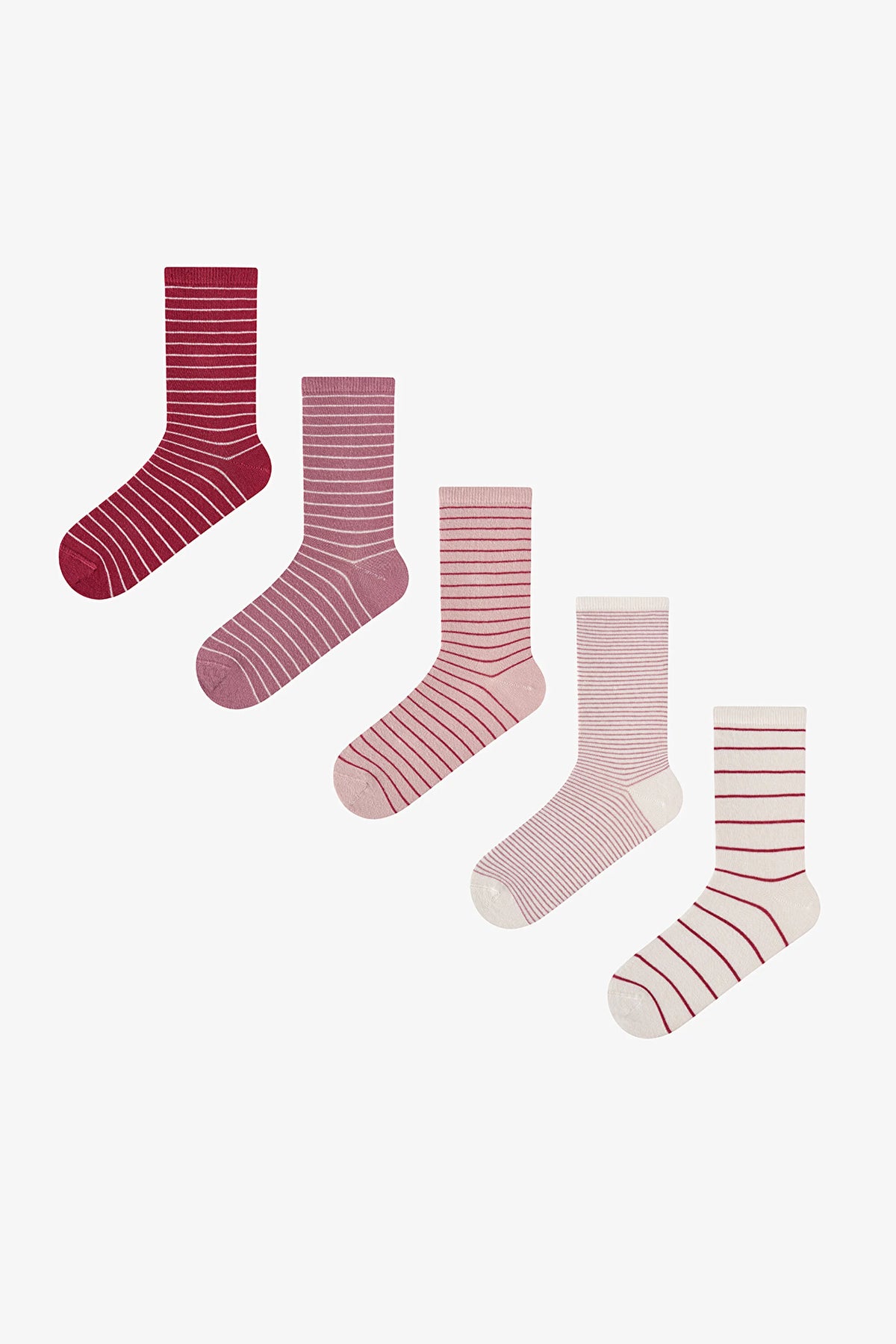 Pembe Bordo Fine Lines Çizgili 5 Çift Soket Çorap