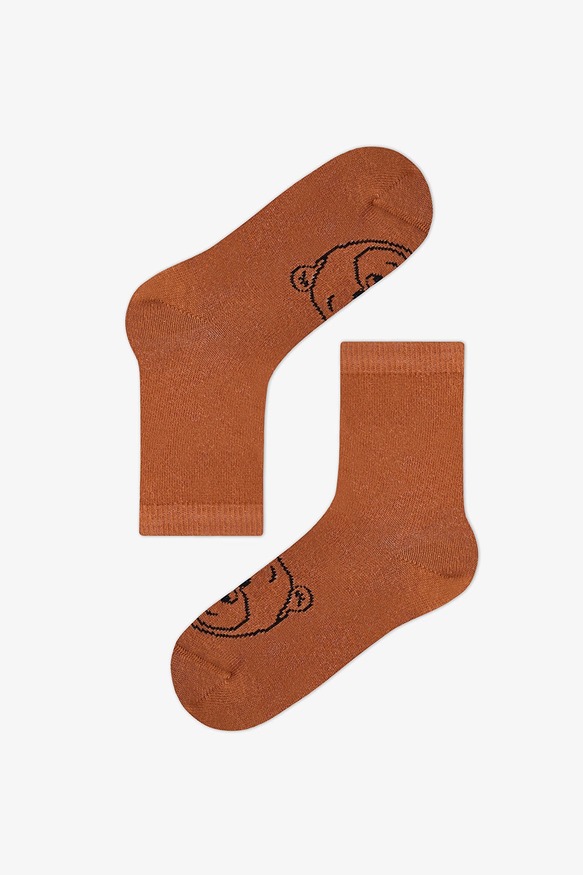 Erkek Çocuk Kahverengi Brownie Bears Ayı Desenli Pamuklu 4 Çift Soket Çorap