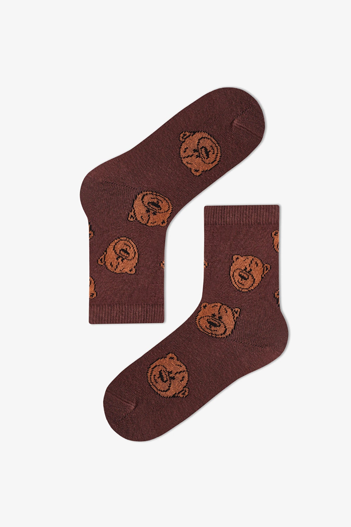 Erkek Çocuk Kahverengi Brownie Bears Ayı Desenli Pamuklu 4 Çift Soket Çorap