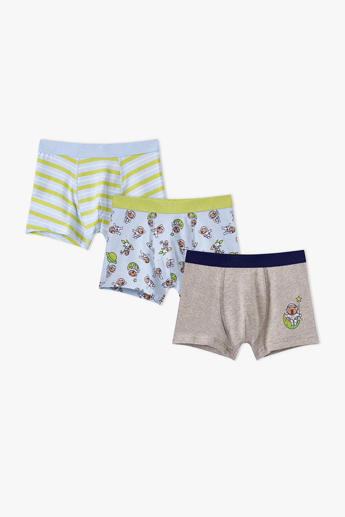 Erkek Çocuk Mavi Capybaras Space Pamuklu 3'lü Boxer