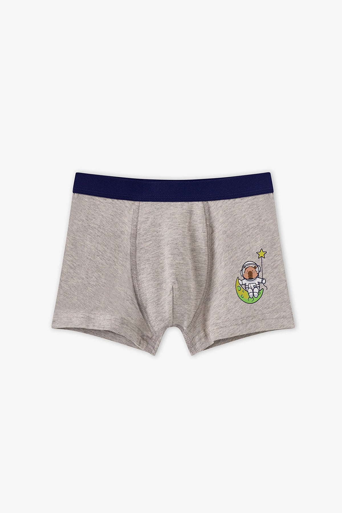 Erkek Çocuk Mavi Capybaras Space Pamuklu 3'lü Boxer