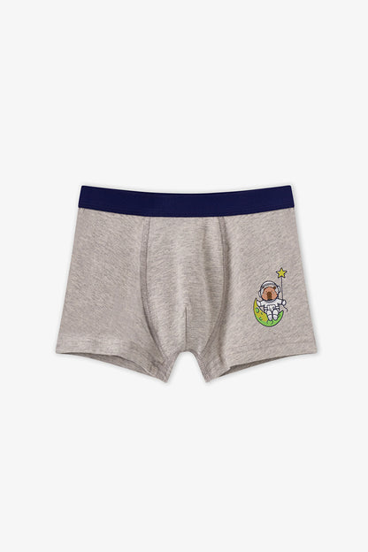 Erkek Çocuk Mavi Capybaras Space Pamuklu 3'lü Boxer