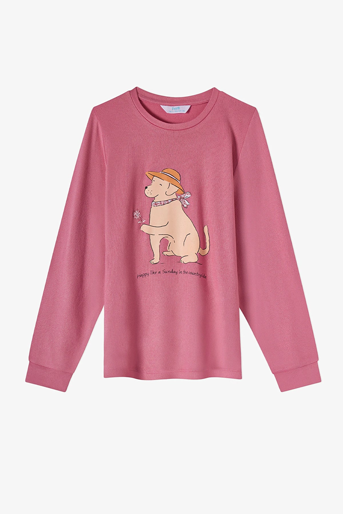 Kız Çocuk Gül Kurusu Mailing Dog Uzun Kollu Pijama Takımı