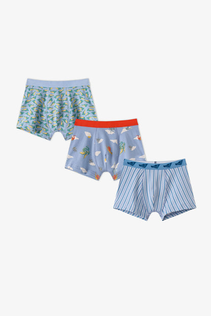 Erkek Çocuk Mavi Soft Dragon Dinozor Desenli Pamuklu 3'lü Boxer