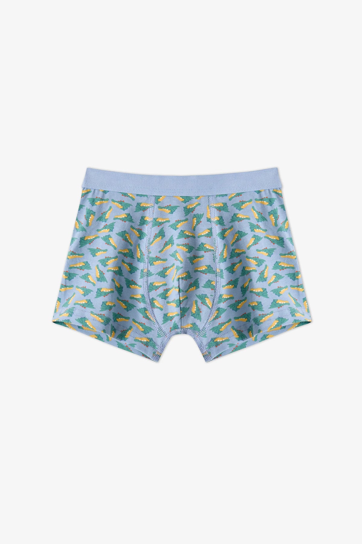 Erkek Çocuk Mavi Soft Dragon Dinozor Desenli Pamuklu 3'lü Boxer