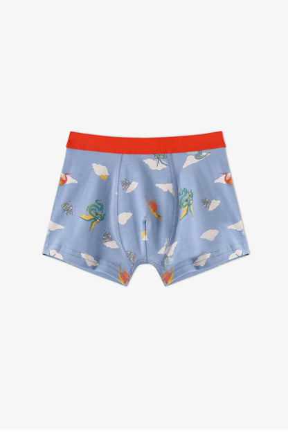 Erkek Çocuk Mavi Soft Dragon Dinozor Desenli Pamuklu 3'lü Boxer