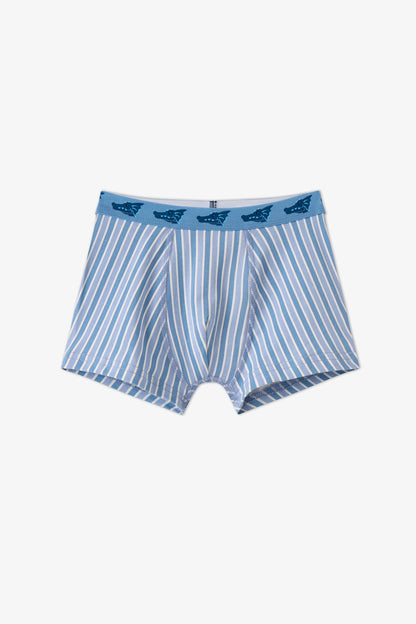 Erkek Çocuk Mavi Soft Dragon Dinozor Desenli Pamuklu 3'lü Boxer