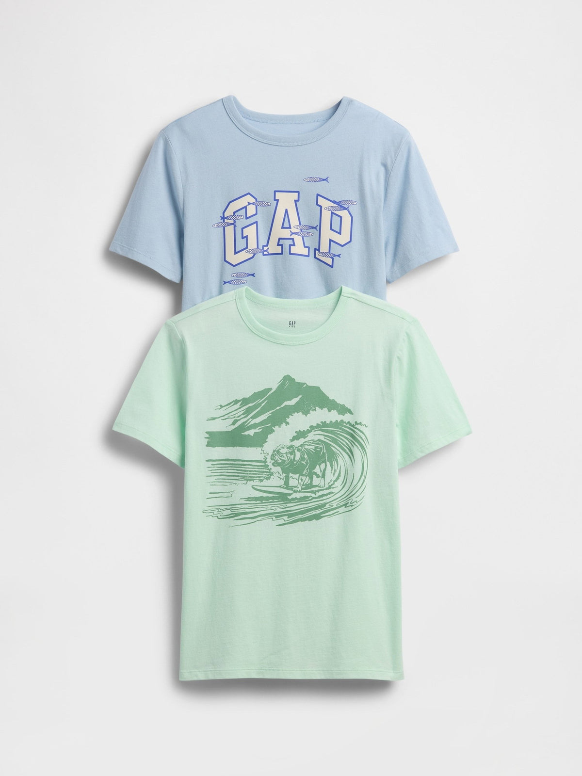 Mavi Grafik Baskılı T-shirt (2’li)