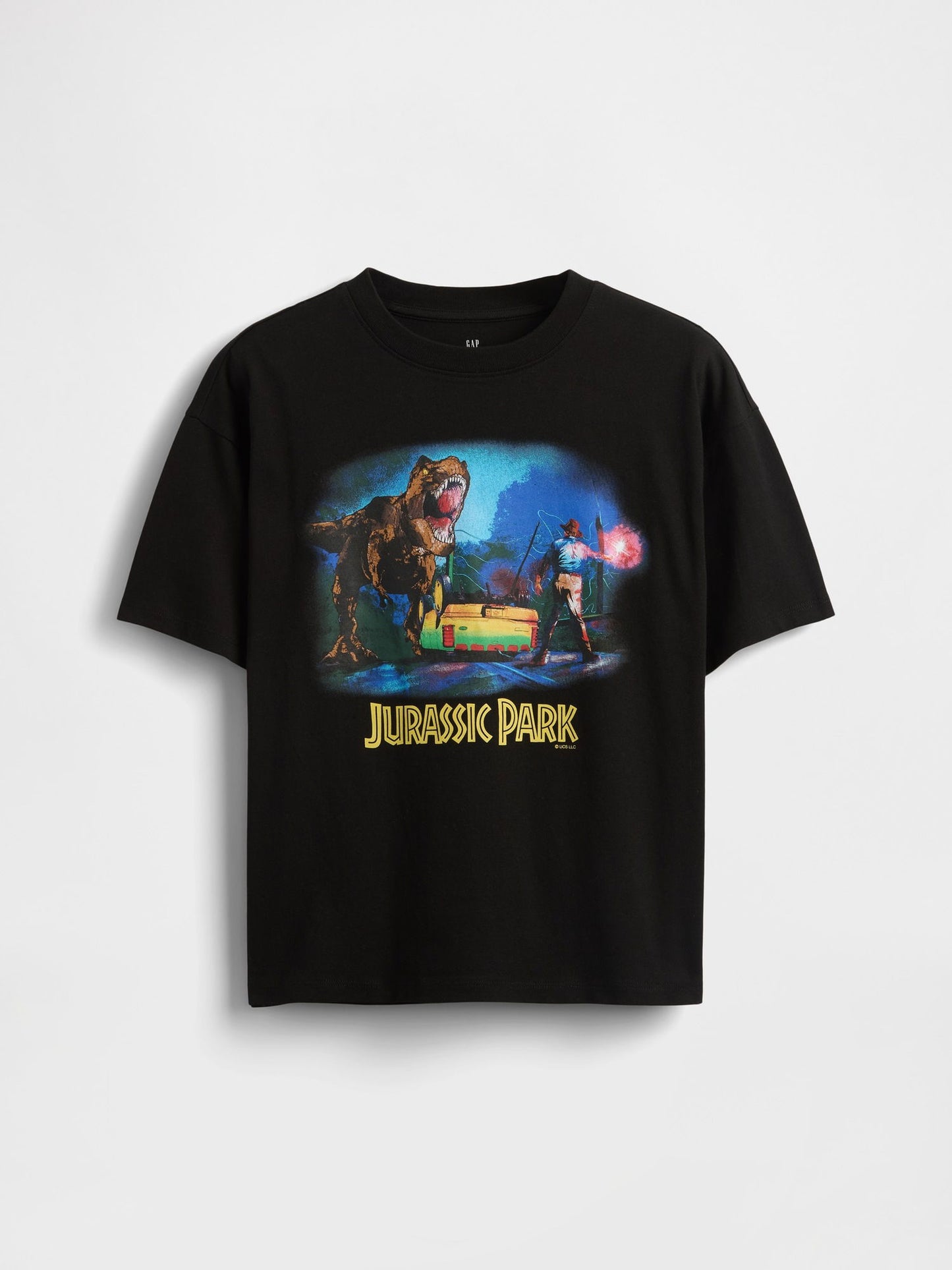 Siyah Heavyweight Organik Pamuk Grafik T-shirt