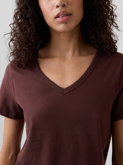 Kahverengi V Yaka T-shirt