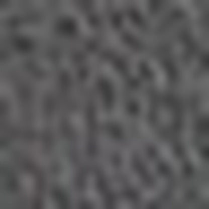 Nautica Unisex Gri Çorap