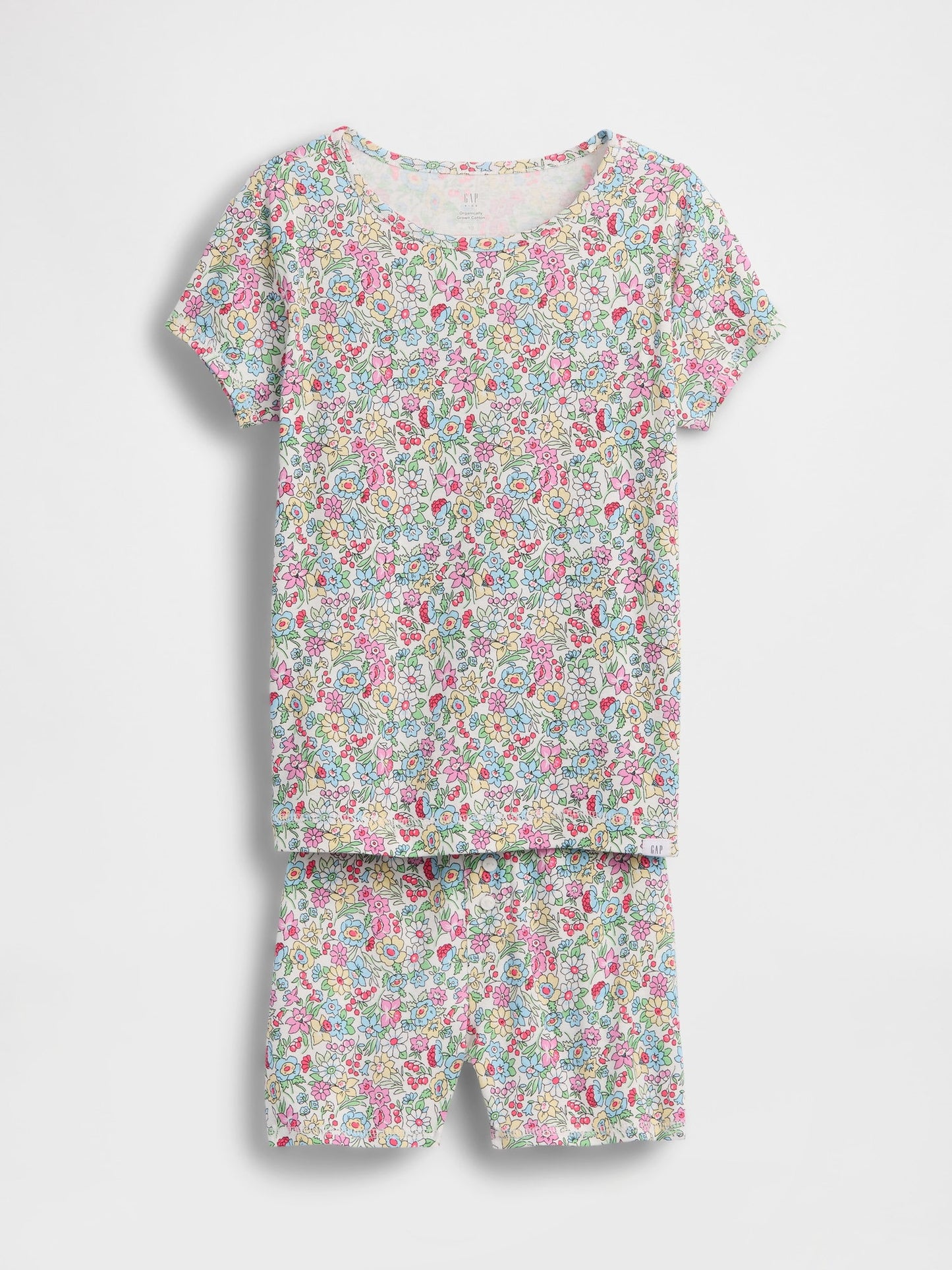 Çok Renkli Organik Brushed Pamuk Pijama Takımı