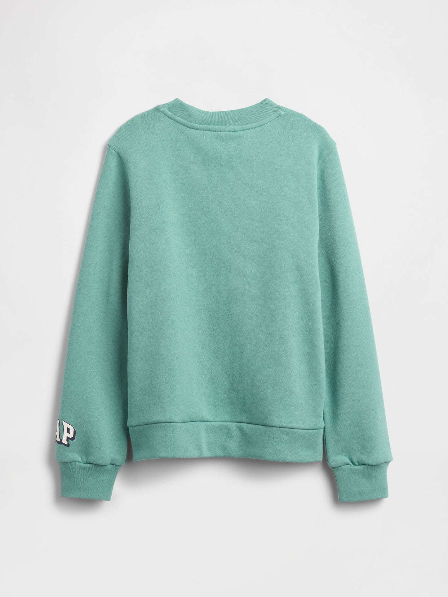 Turkuaz Gap Logo Sweatshirt