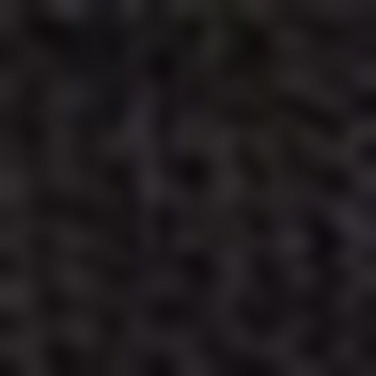 Nautica Unisex Siyah Çorap