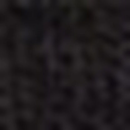 Nautica Unisex Siyah Çorap