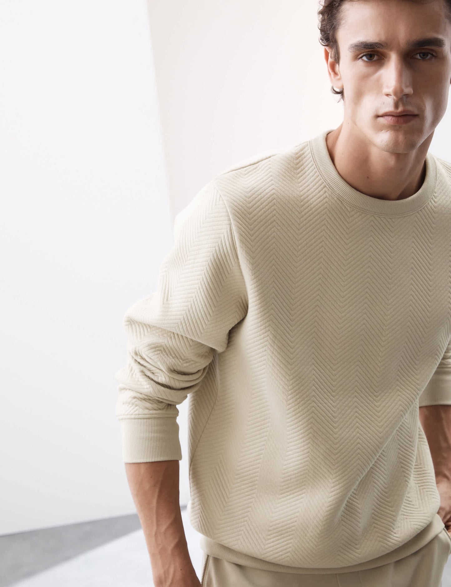 Saf Pamuklu Regular Fit Sweatshirt