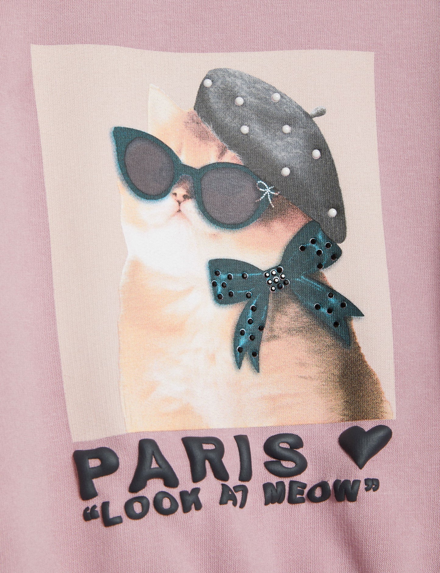 Paris Kedi Desenli Sweatshirt (2-10 Yaş)