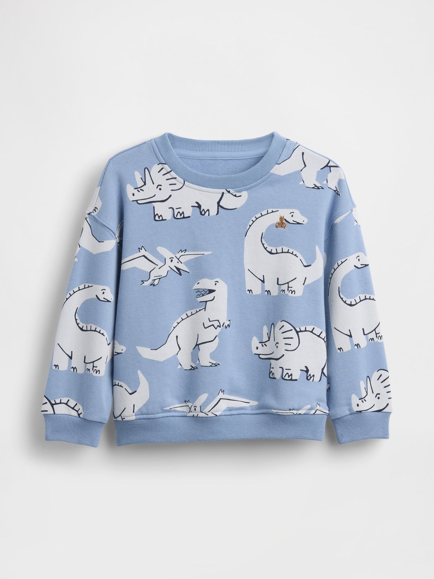 Açık Mavi Vintagesoft Fransız Havlu Terry Grafik Baskılı Sweatshirt