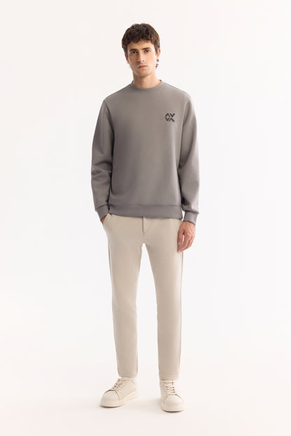 Gri Bisiklet Yaka Baskili Uzun Kol Interlok Kumaş Sweatshirt