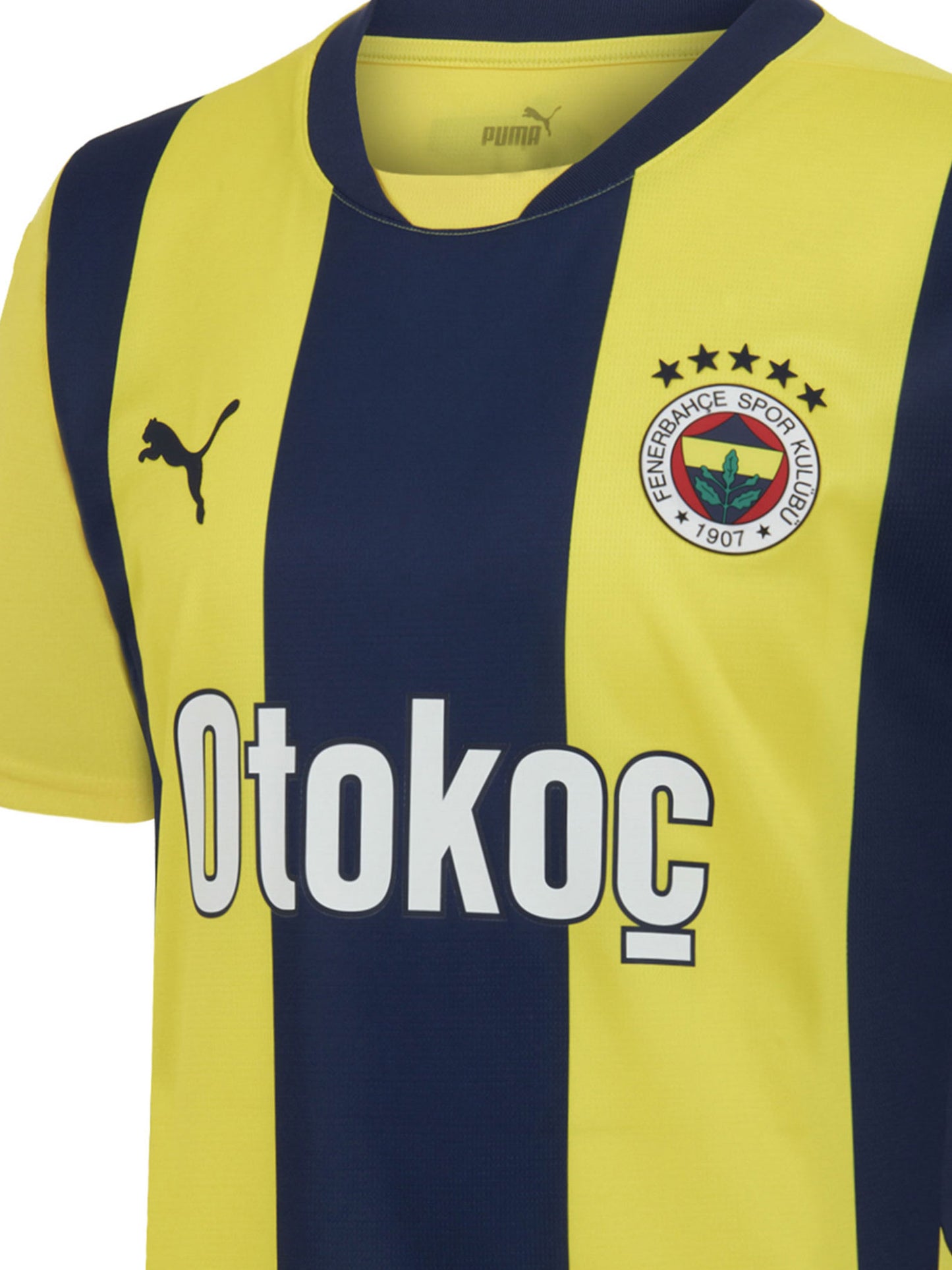 Fenerbahçe 2024 Çubuklu Jr Forma
