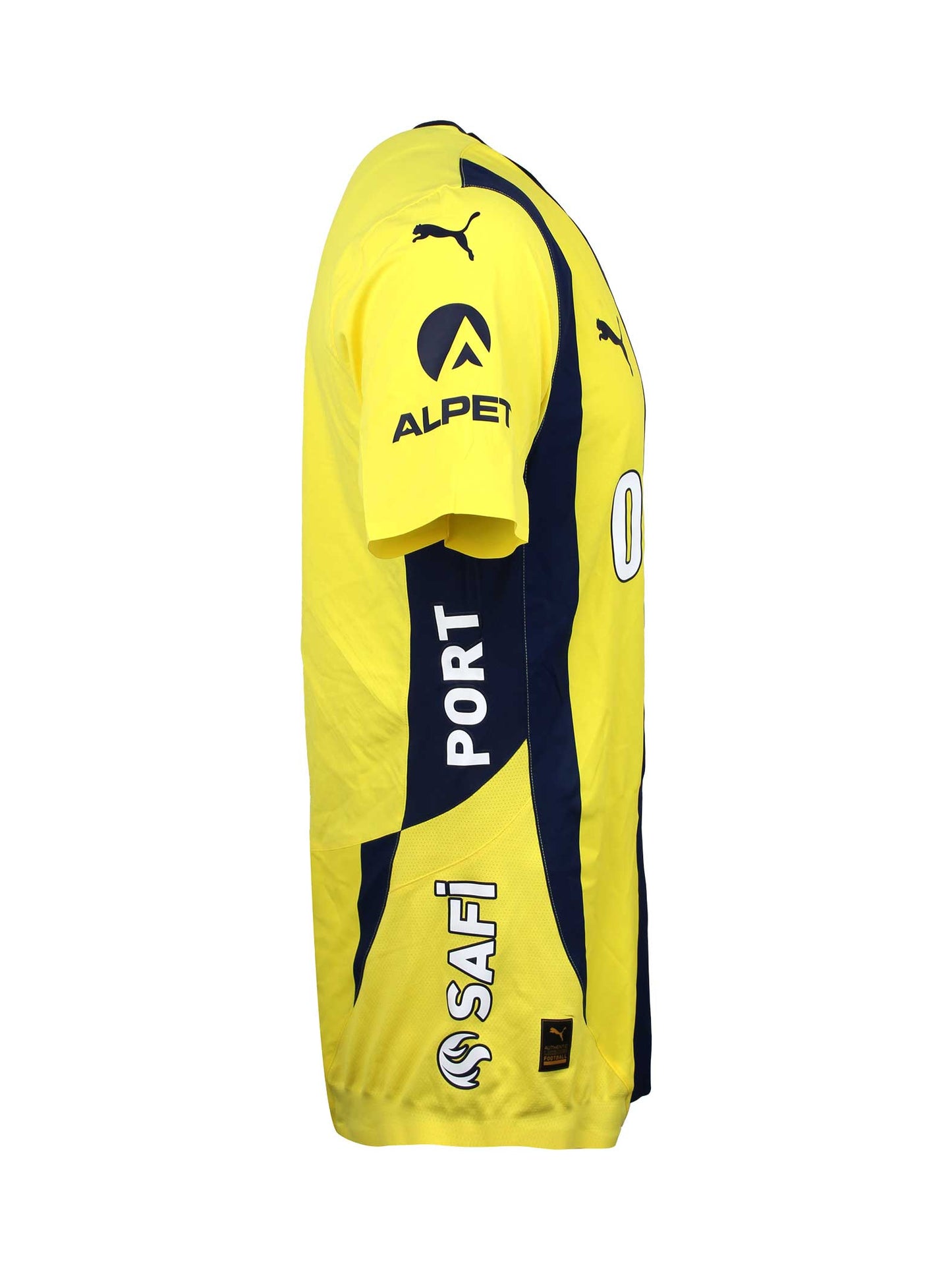 Fenerbahçe 2024 Çubuklu Promo Forma