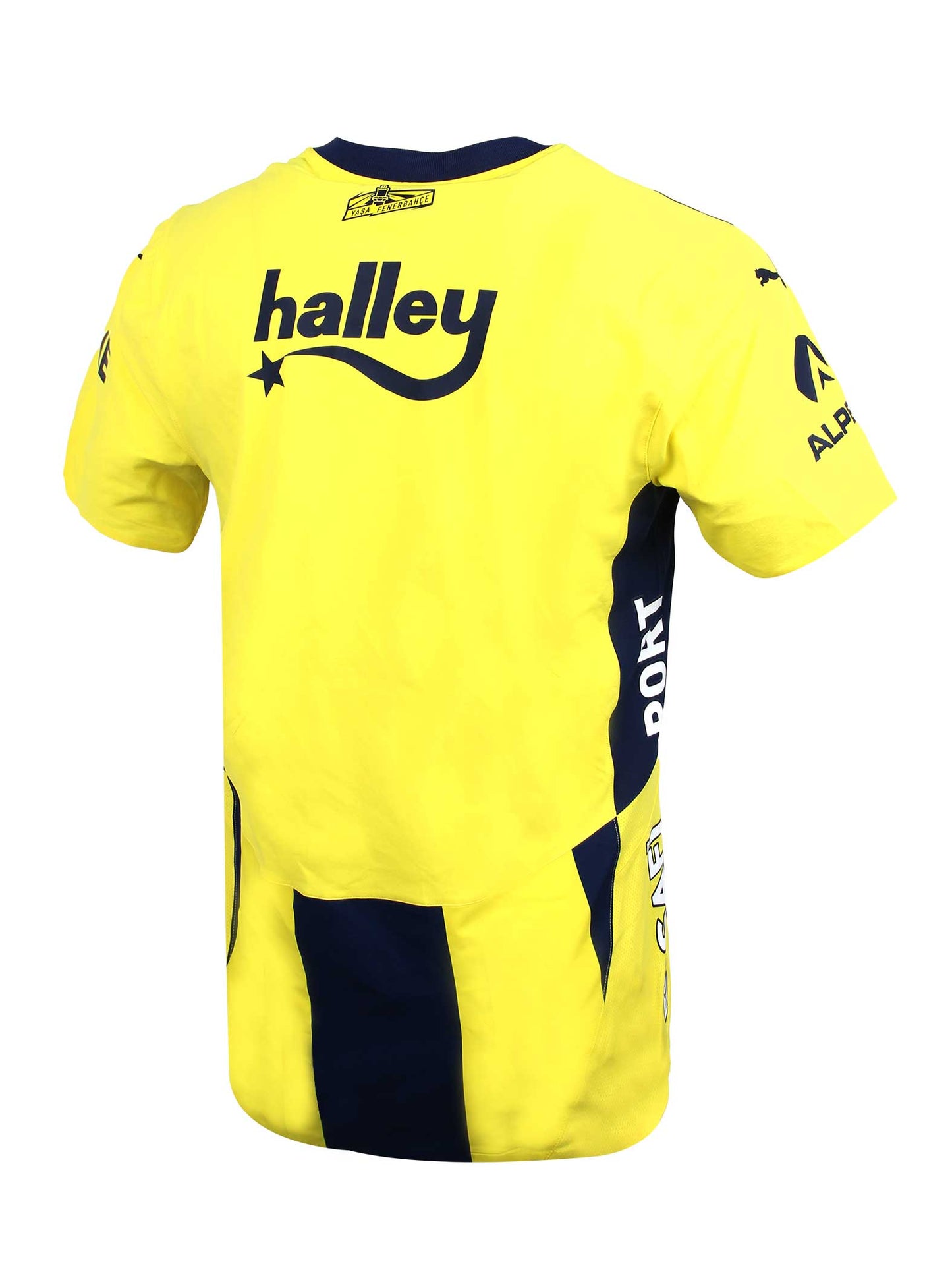 Fenerbahçe 2024 Çubuklu Promo Forma