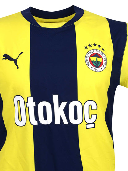 Fenerbahçe 2024 Çubuklu Promo Forma