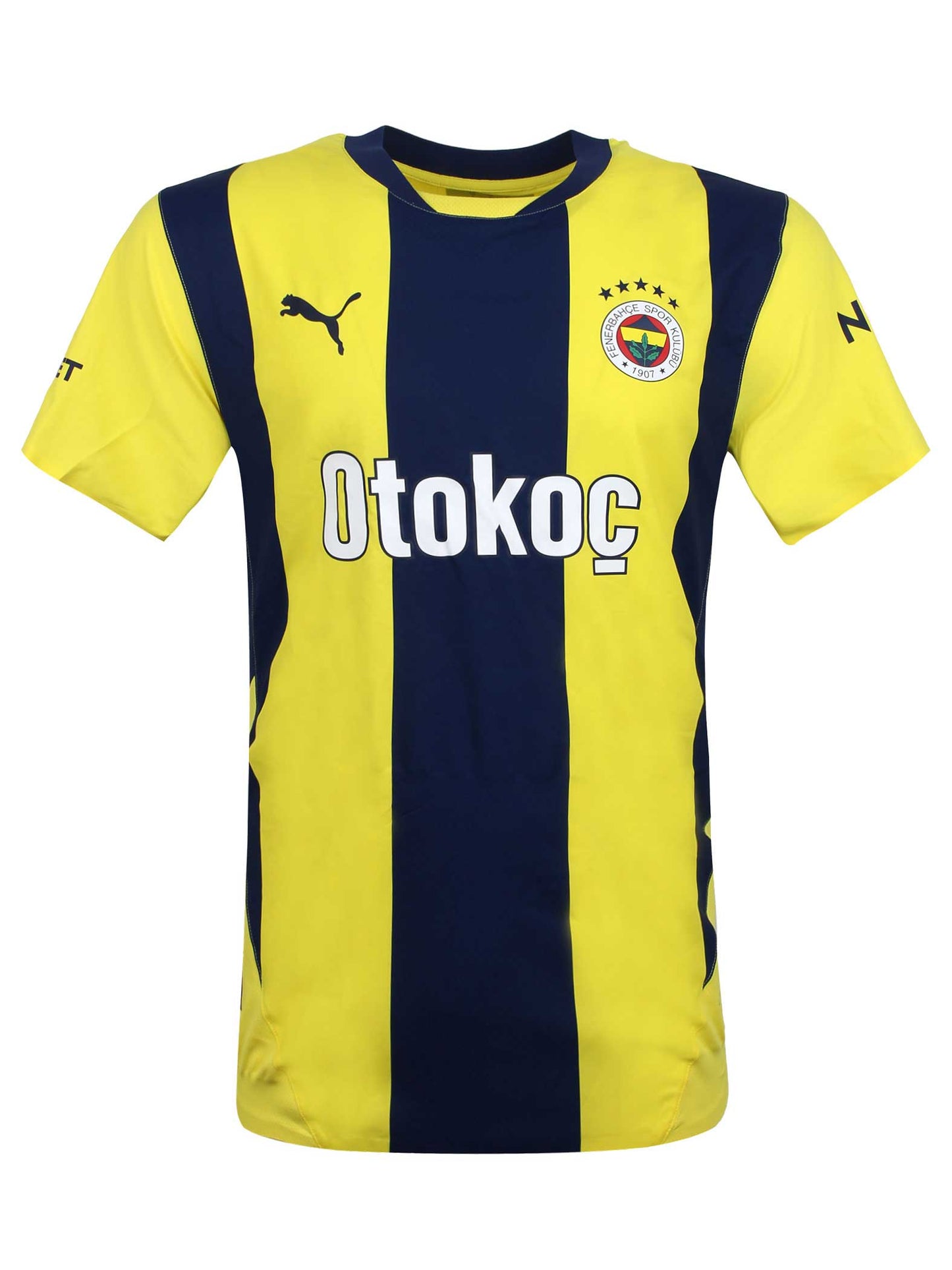 Fenerbahçe 2024 Çubuklu Promo Forma