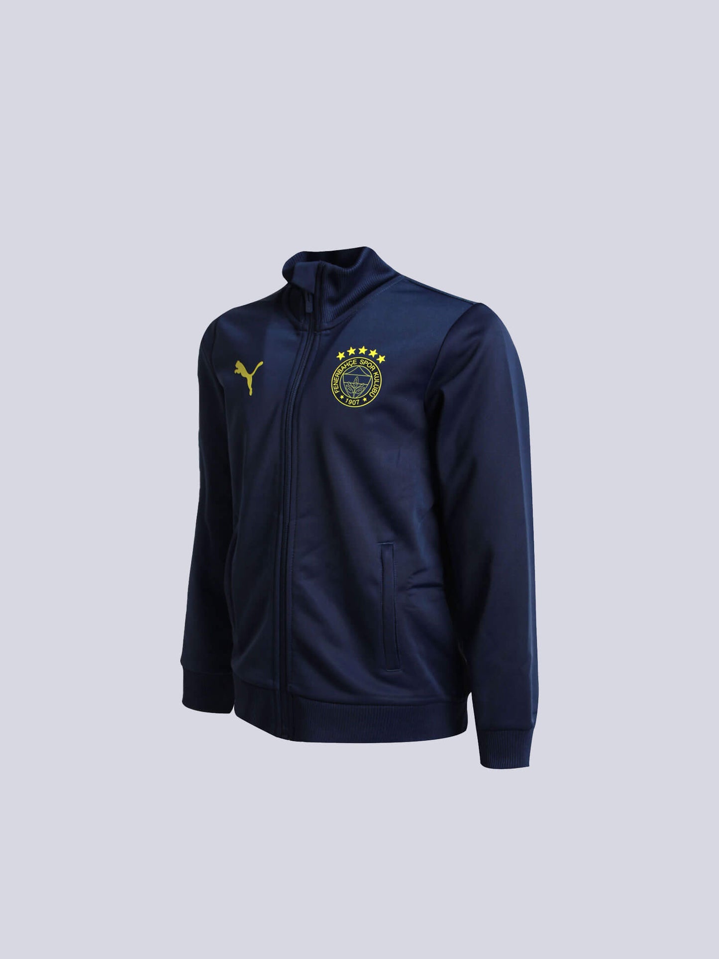Fenerbahçe 2024/25 A Takım Özel Jr. Sweatshirt
