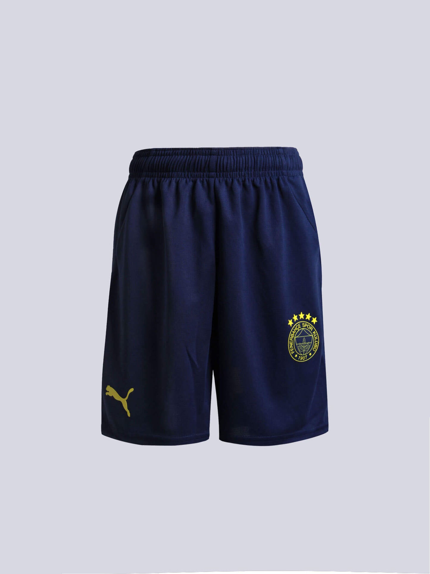 Fenerbahçe 2024 Özel Şort