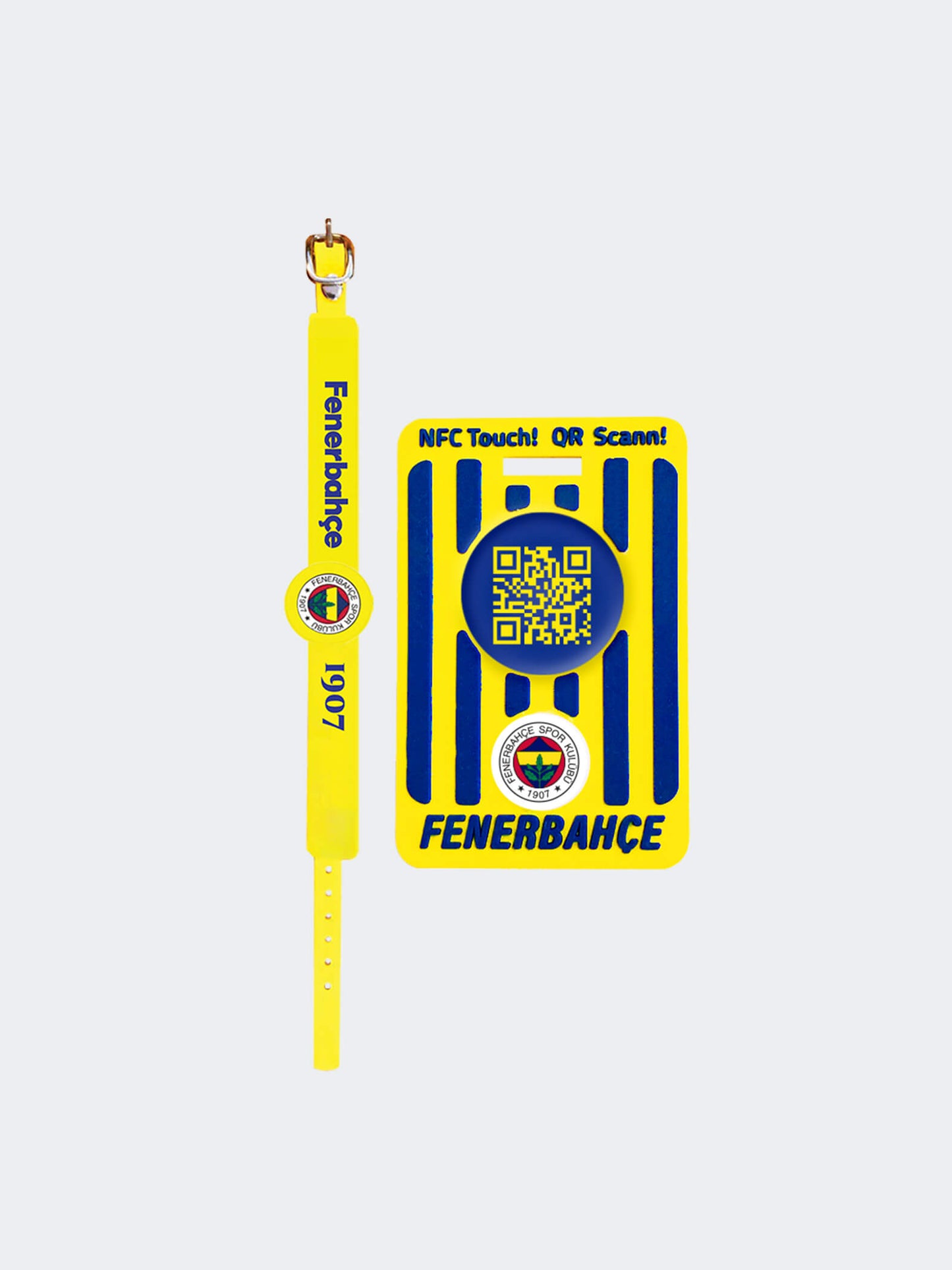 Fenerbahçe Diginamekids Ebeveyn Ve Çocuk Asistanı